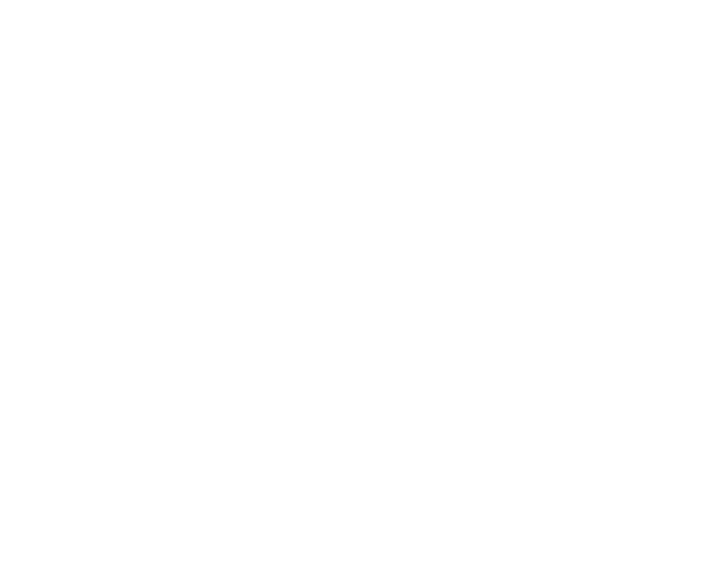 SalesBotix